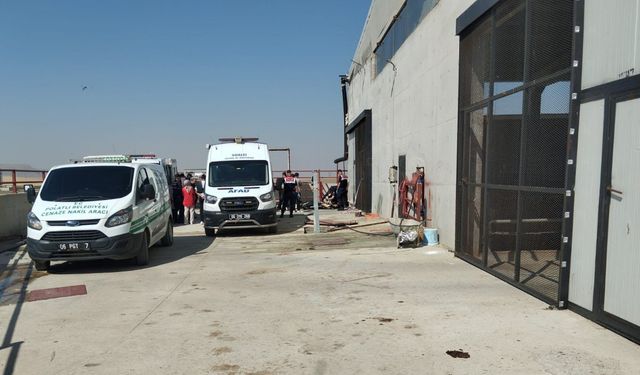 Ankara'da besi çiftliğinde metan gazı zehirlenmesi; 2 işçi öldü /Video eklendi