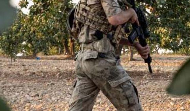 Antep fıstığında hırsızlığa karşı jandarmadan önlem