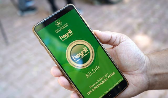 Aracıyla hayvana çarpıp kaçmanın cezası 10 bin 385 TL