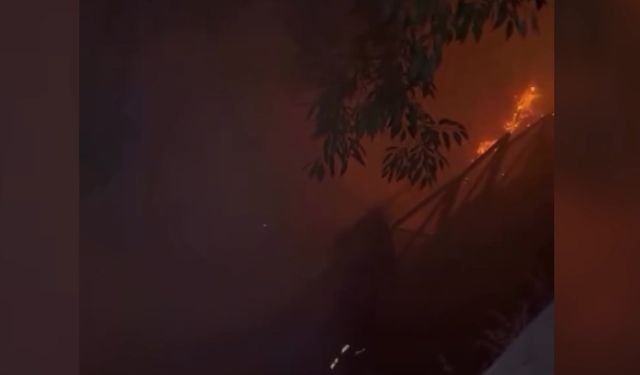 Attıkları havai fişek yangın çıkardı; 4 gözaltı