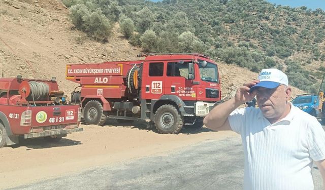 Aydın'da makilik ve zeytinlik alanda yangın çıktı (2)