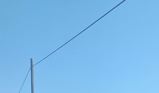 Aydın'da makilik ve zeytinlik alanda yangın çıktı