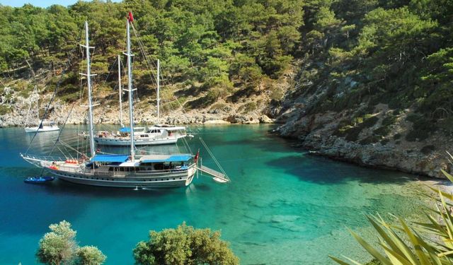 Bakanlık: Türkiye, tatil amaçlı Google aramalarında birinci sırada