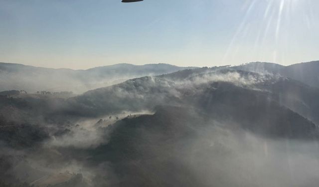 Balıkesir'deki orman yangını 2'nci gününde