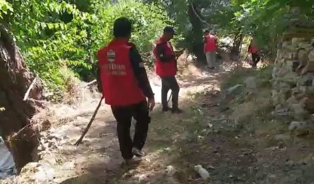 Batman’da akli dengesi yerinden olmayan kadından 2 gündür haber alınamıyor