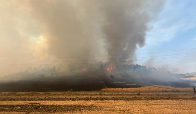 Bolu'da tarım arazisinde çıkan yangın ormana sıçradı / Ek fotoğraflar