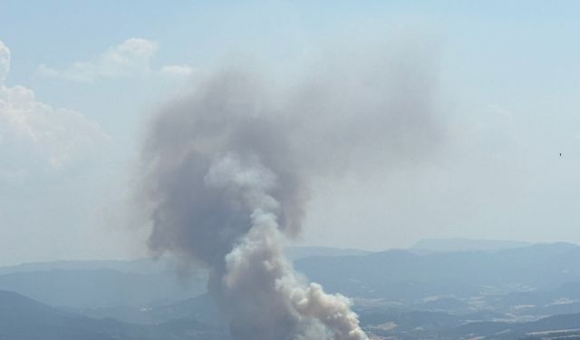 Bolu'da tarım arazisinde çıkan yangın ormana sıçradı