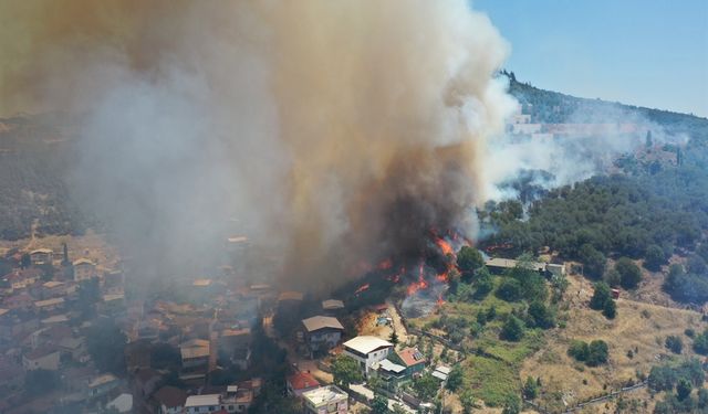 Bursa'da ormana girişler yasaklandı