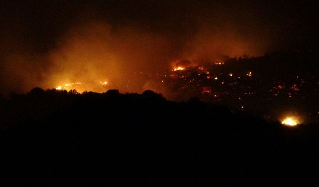 Çanakkale'de orman yangını (5)