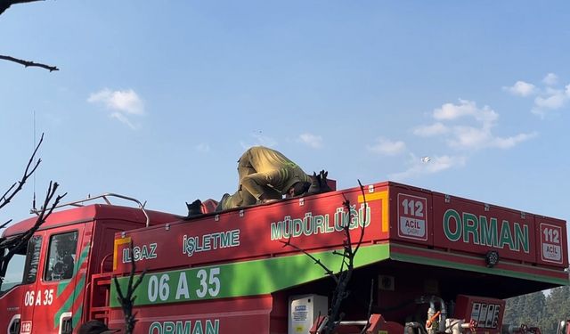 Çankırı'da orman yangını (3)