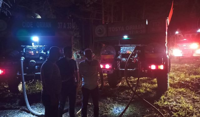 Çankırı'da orman yangını/ Ek fotoğraflar