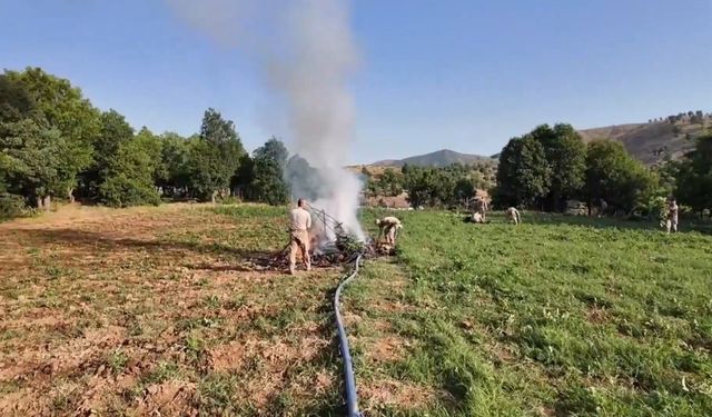 Diyarbakır'da 4,4 milyon kök kenevir ele geçirildi; 17 tutuklama