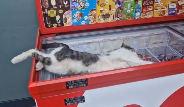 Diyarbakır’da hava sıcaklıkları 45 dereceyi geçti, tarihi mekanlar boş kaldı
