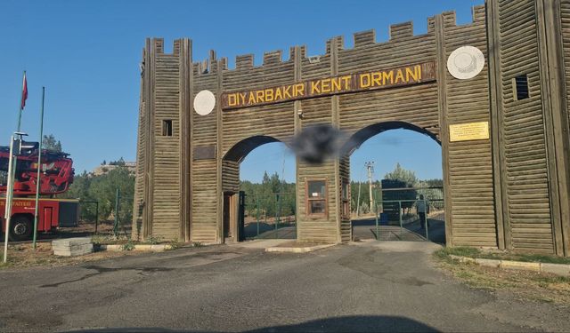 Diyarbakır’da kafede çıkan yangın, ormana sıçramadan söndürüldü