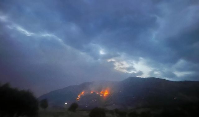 Diyarbakır'da örtü yangını