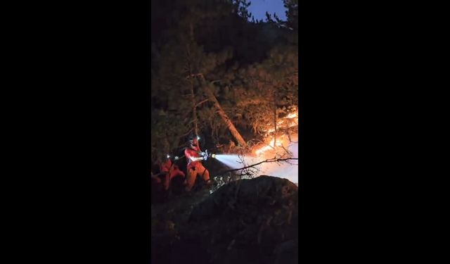 Eskişehir'deki orman yangını 2'nci gününde