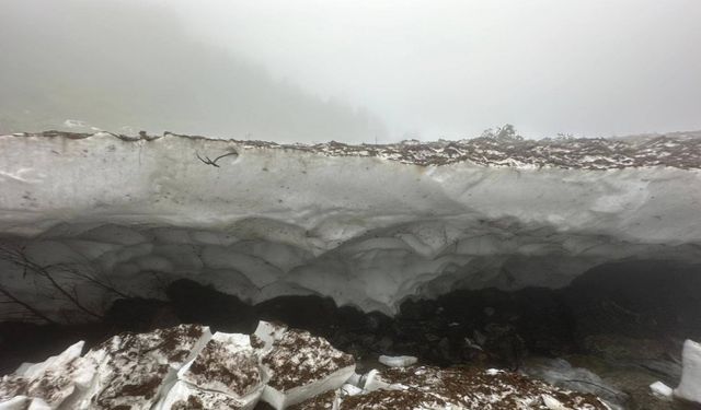 Fotoğraf çektirirken kar kütlesinin altında kalan kadın öldü