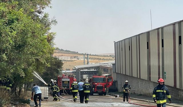 Gaziantep’te halı fabrikasında yangın