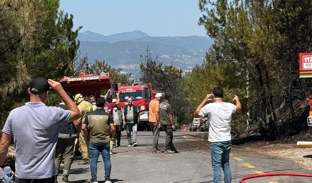 Geyve'de tekrar canlanan alevler kontrol altına alındı