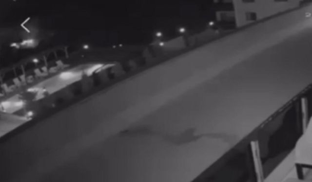 Havai fişek atıp yangın çıkaran 2 kişi, 100’er adet ağaç dikecek