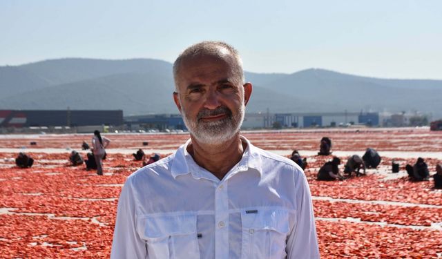 İzmir'de kuru domates mesaisi / Ek fotoğraflar