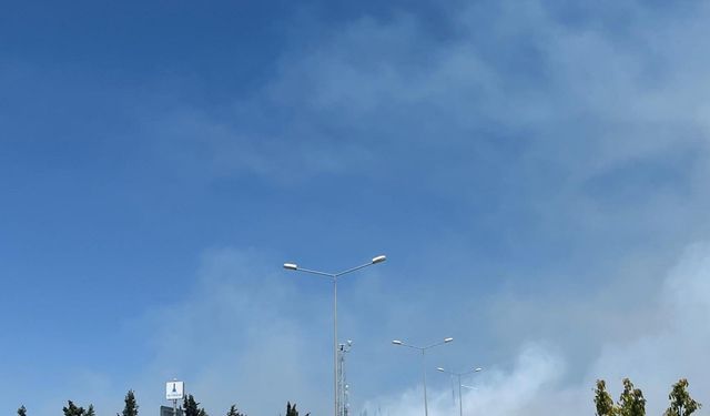 İzmir'de orman yangını