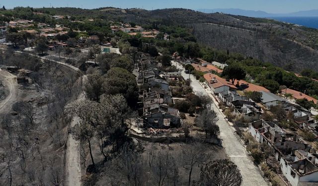İzmir'de orman yangınları sonrası yangın sigortasına talep arttı