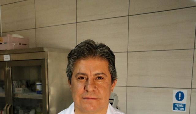 Kaplumbağa 'Tosbik'in kırılan kabuğuna diş dolgu malzemeli tedavi