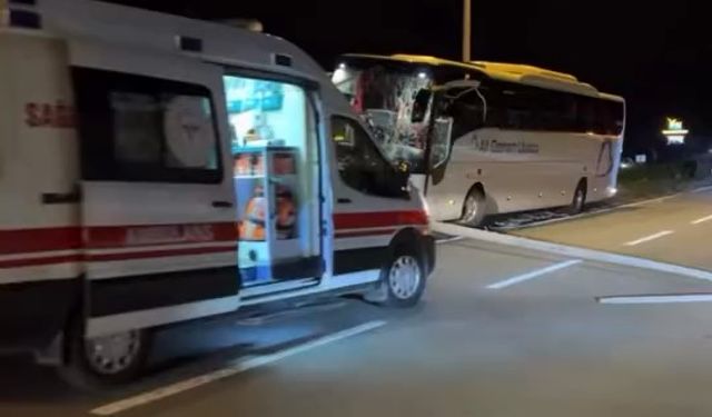 Karadeniz Sahil Yolu'nda yolcu otobüsü korkuluklara çarptı