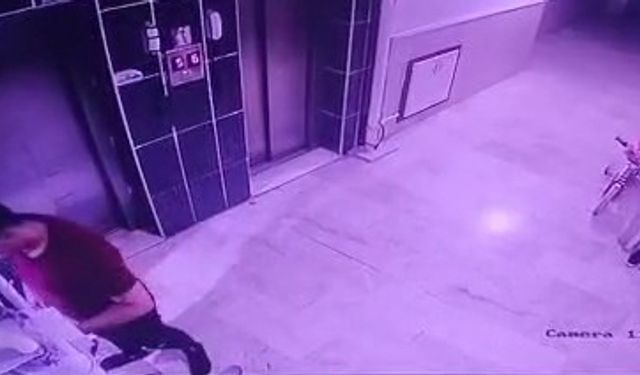 Kediyi yere fırlatan şüpheliye gözaltı
