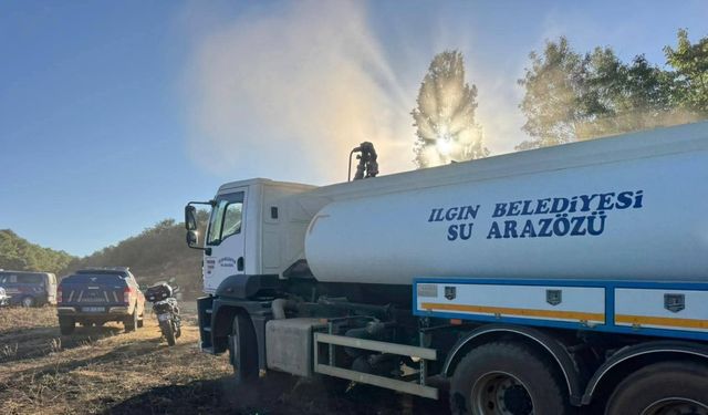 Konya'da orman yangını, kısa sürede söndürüldü