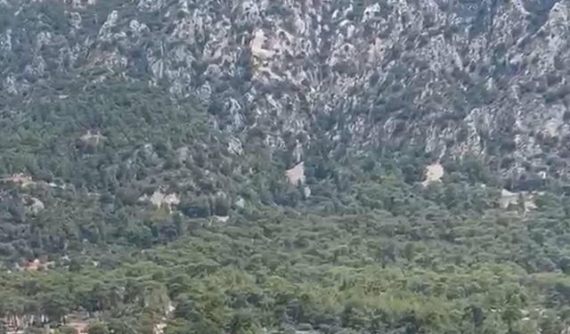 Kürek sörfü yaparken suya düştü, 4 gündür bulunamadı