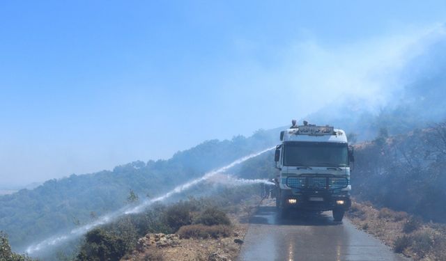 Lazkiye'deki orman yangınları kontrol altına alınmaya başladı