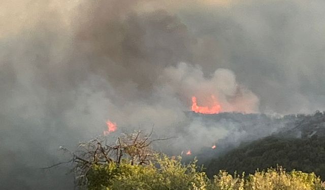 Manisa Sarıgöl’de çıkan yangın Uşak’a ulaştı; bazı evler tahliye edildi