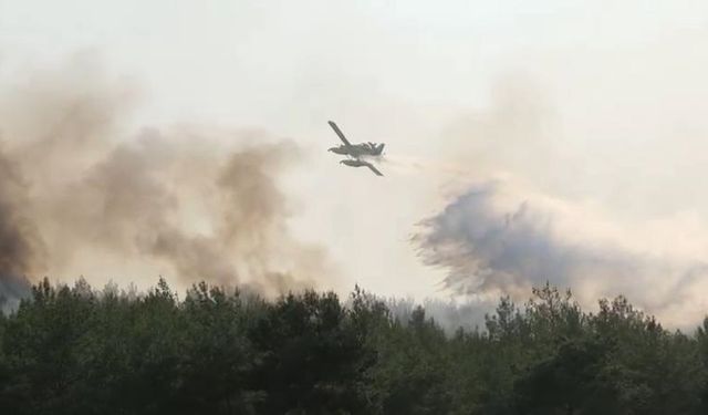 Manisa’da 2 noktada orman yangını; 2 gözaltı/ Ek fotoğraflar