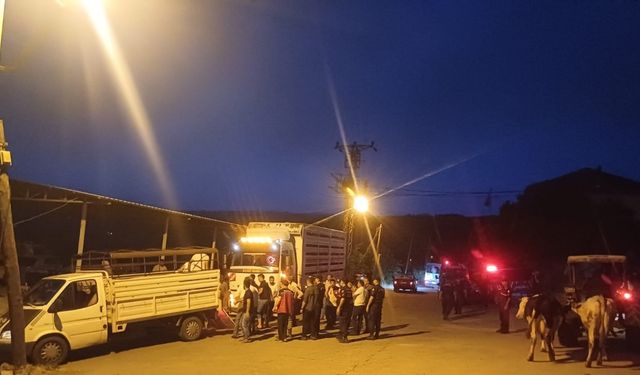 Manisa'da çöplük yangını ormana sıçradı (3)
