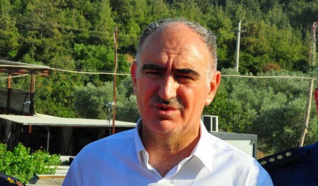 Manisa’da orman yangını (2)