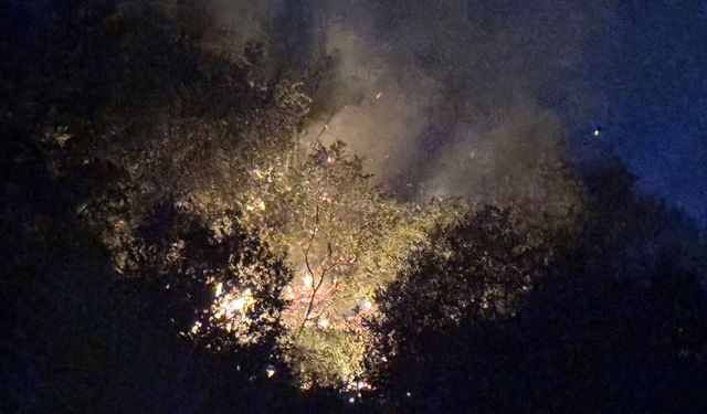 Manisa’da orman yangını büyümeden söndürüldü