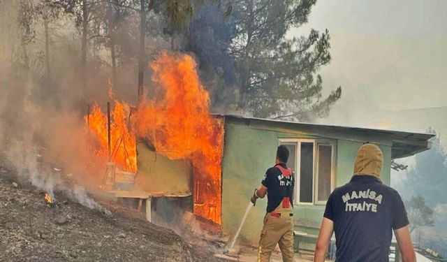 Manisa'daki orman yangını 20 saat sonra kontrol altında