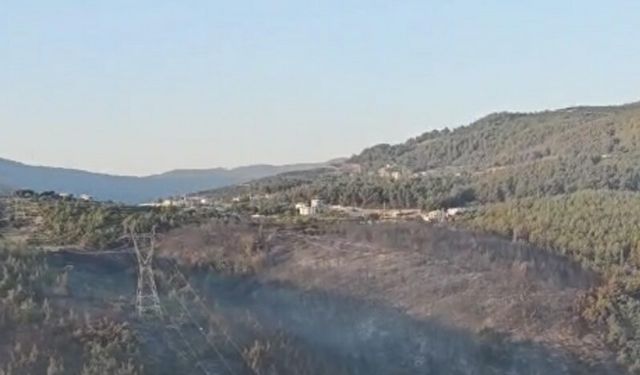 Manisa'daki orman yangını 2'nci gününde