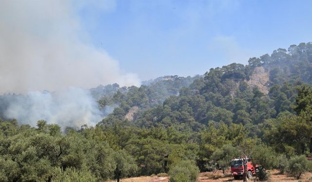 Manisa'nın 4 ilçesinde yangın; ekiplerin müdahalesi sürüyor (4)