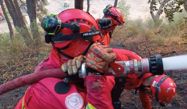 MEB AKUB ekipleri, orman yangınlarında söndürme çalışmalarına destek verdi
