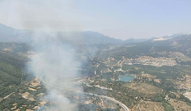 Muğla'da tarım arazisinde yangın (2)