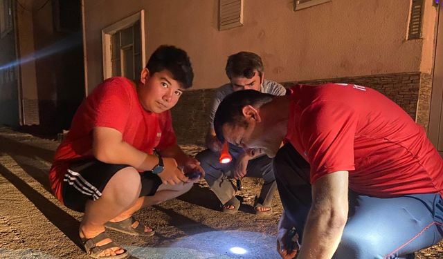 Otomobilin motoruna sıkışan yavru kedi kurtarıldı