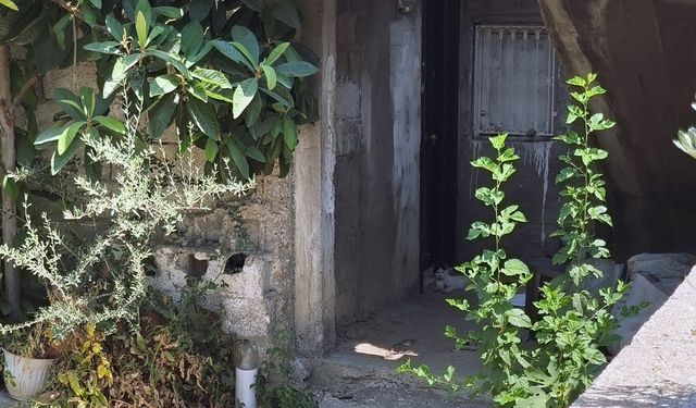 Para vermediği için annesini öldüren şüpheli tutuklandı