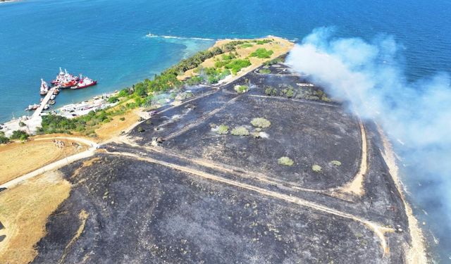 Perinthos Antik Kenti yakınında anız yangını (2)