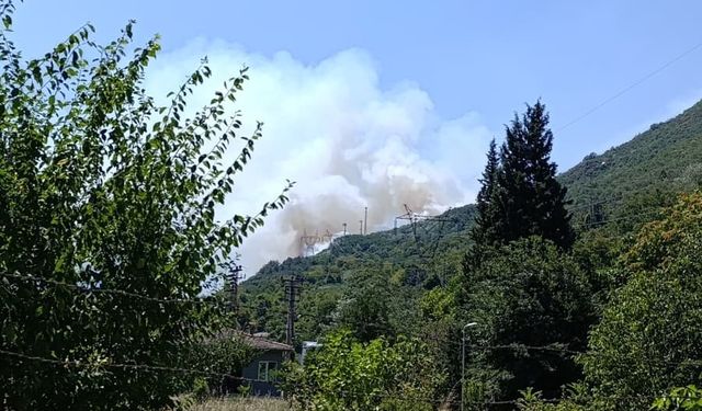 Sakarya Geyve’de yeni orman yangını (2)