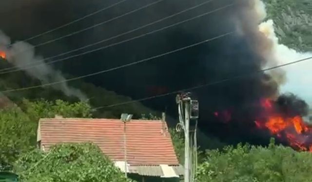 Sakarya Geyve’de yeni orman yangını (4)