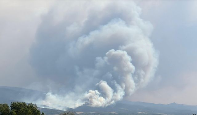 Sakarya Geyve'de yeni orman yangını (5)