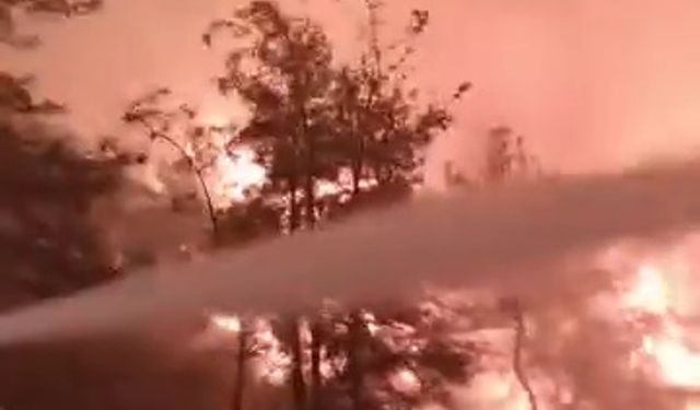 Sakarya Geyve'de yeni orman yangını (6)